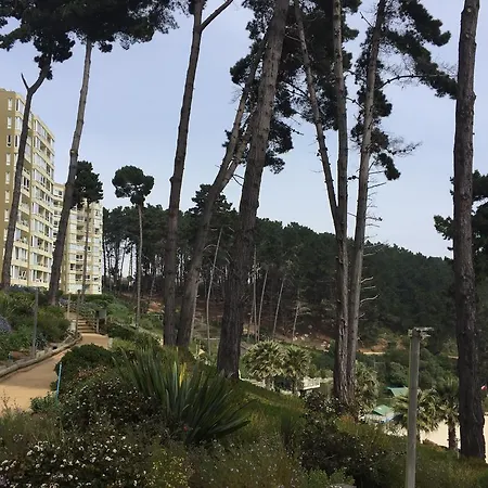 Departamento En La Playa Apartment Algarrobo Exterior photo