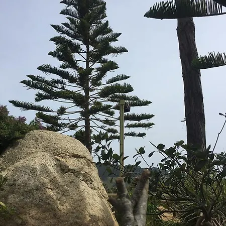 Departamento En La Playa Apartment Algarrobo Exterior photo